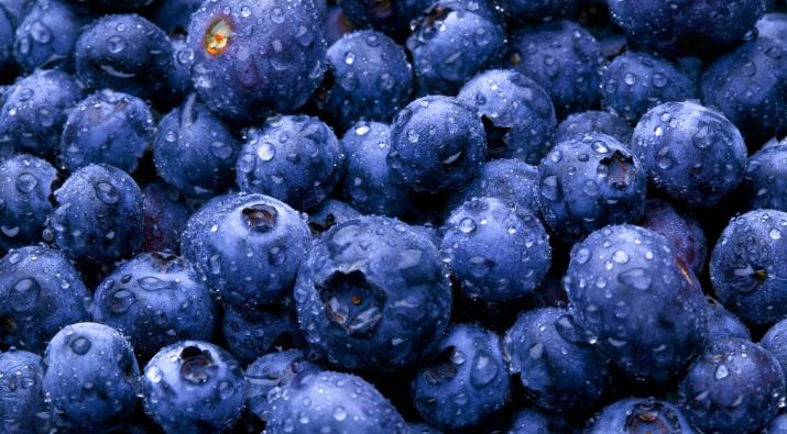 7 Superfoods everyone needs to know about