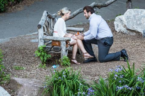 Tips for the Perfect Marriage Proposal in New York City