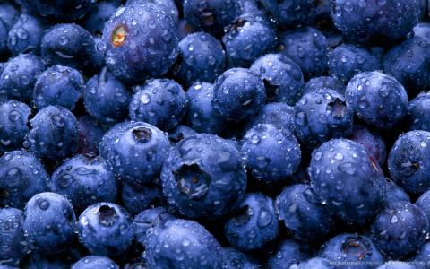 7 Superfoods everyone needs to know about