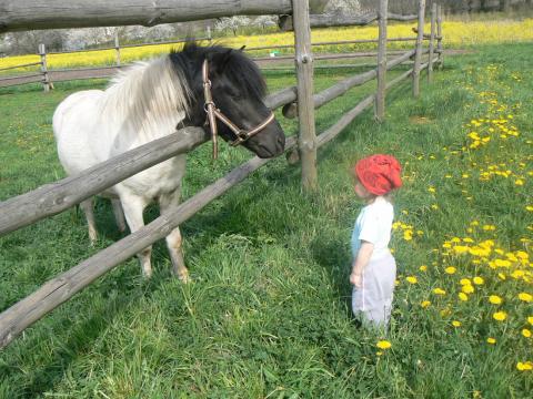 Introducing Children to Nature