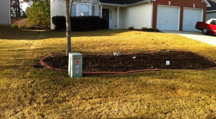Controlling Broadleaf Weeds with Perfect Leaf Management