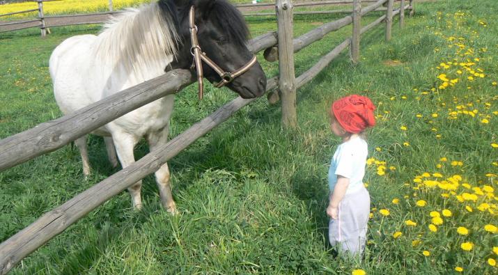 Introducing Children to Nature